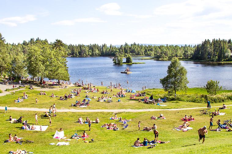 Lake Lian Summer Trondheim Norway