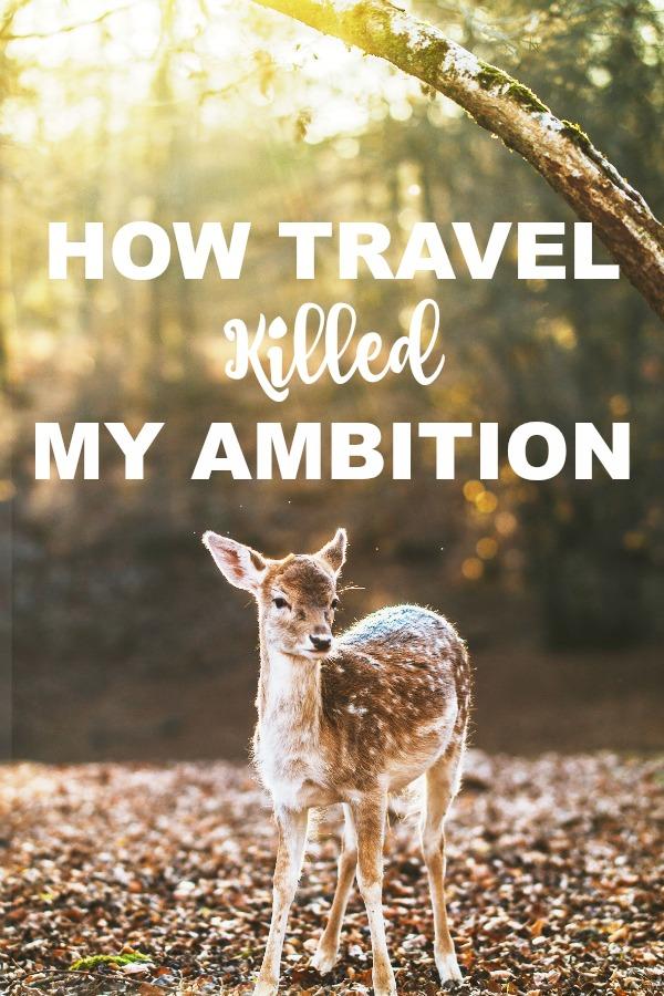 essays on my ambition to become a collector essays on my ambition to become a collector