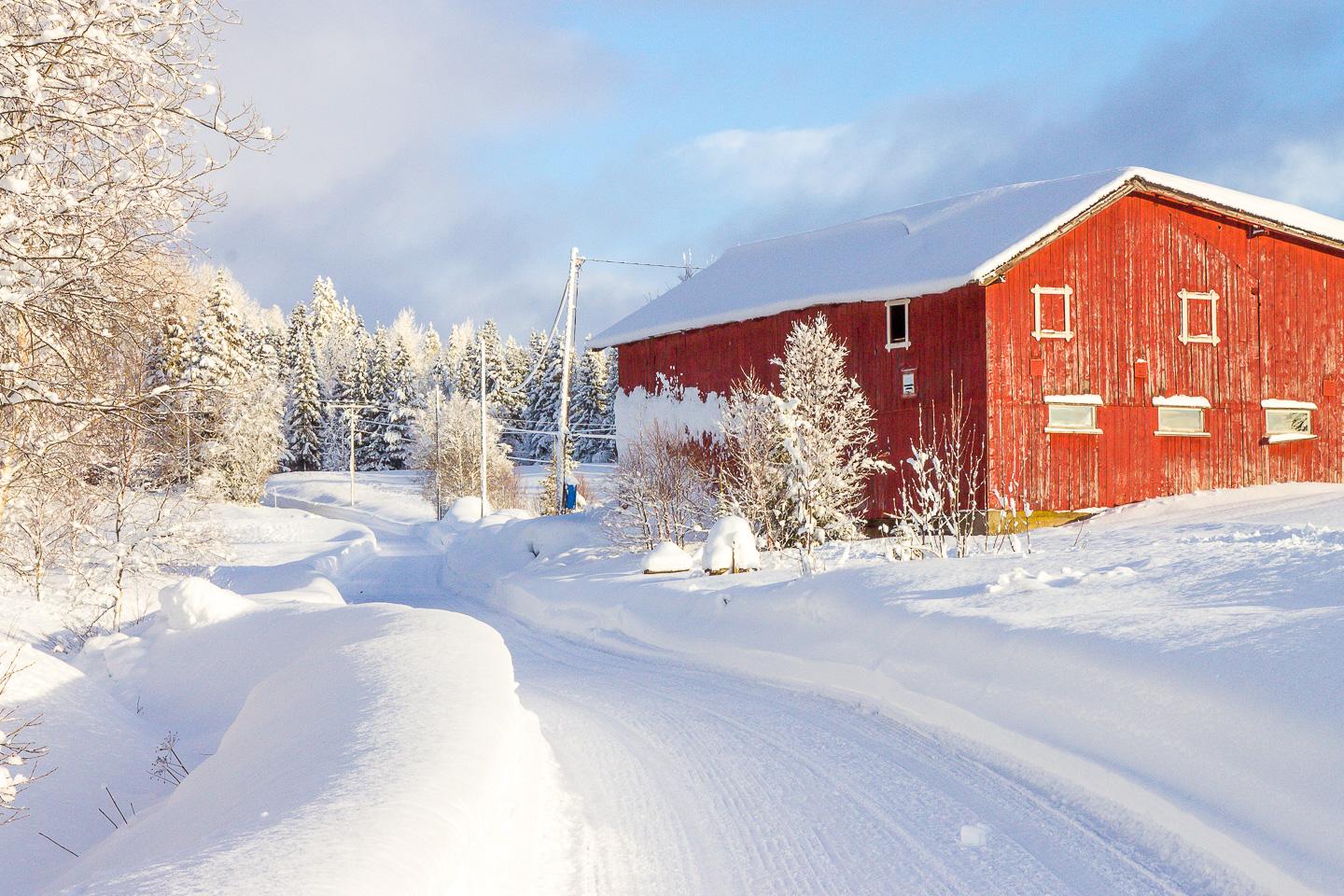 rauland telemark winter