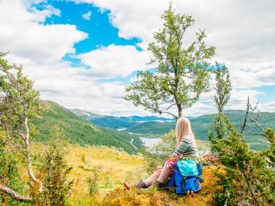 rauland telemark summer norway