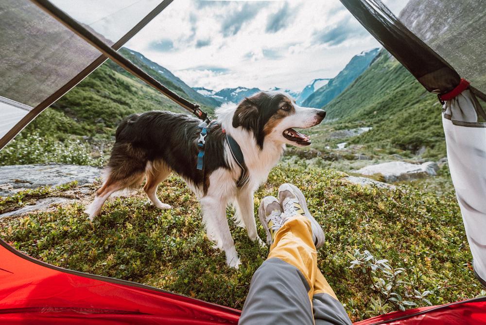 Gamle Strynefjellsvegen Scenic Route Norway wild camping