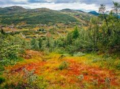 autumn rauland telemark norway