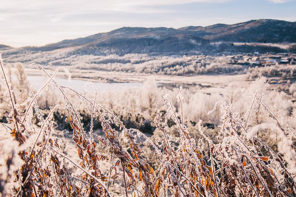 frost autumn in norway fall photos