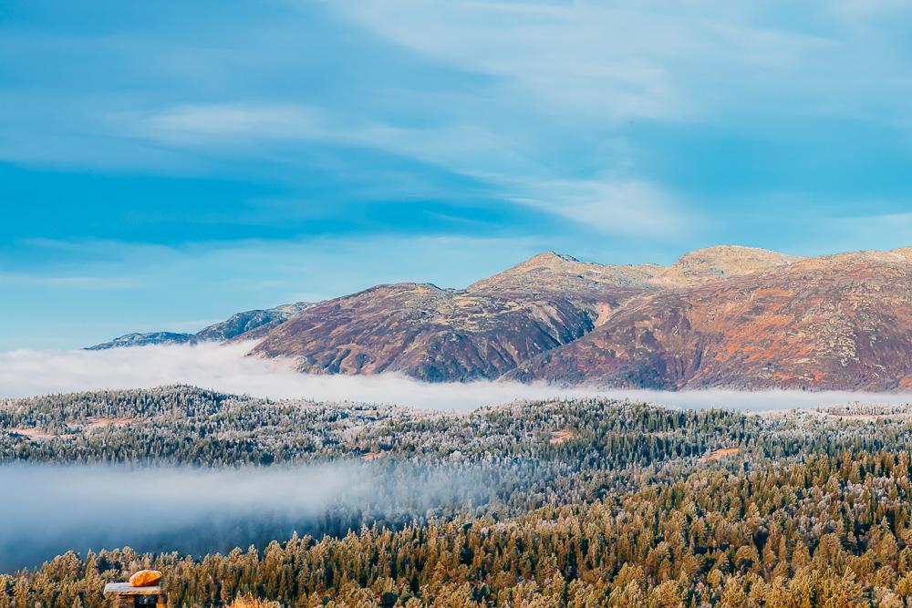 norwegian mountain fog autumn norway