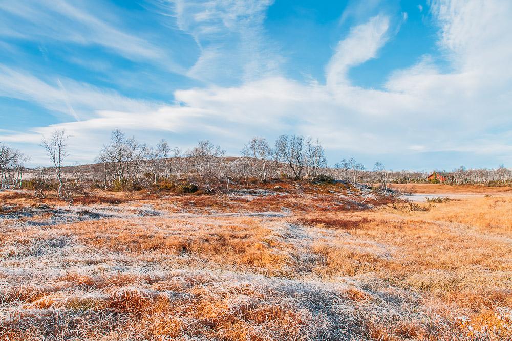 autumn in rauland telemark norway mountains