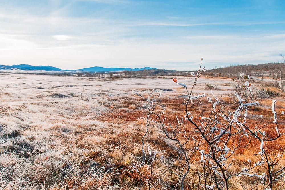 telemark norway in the fall