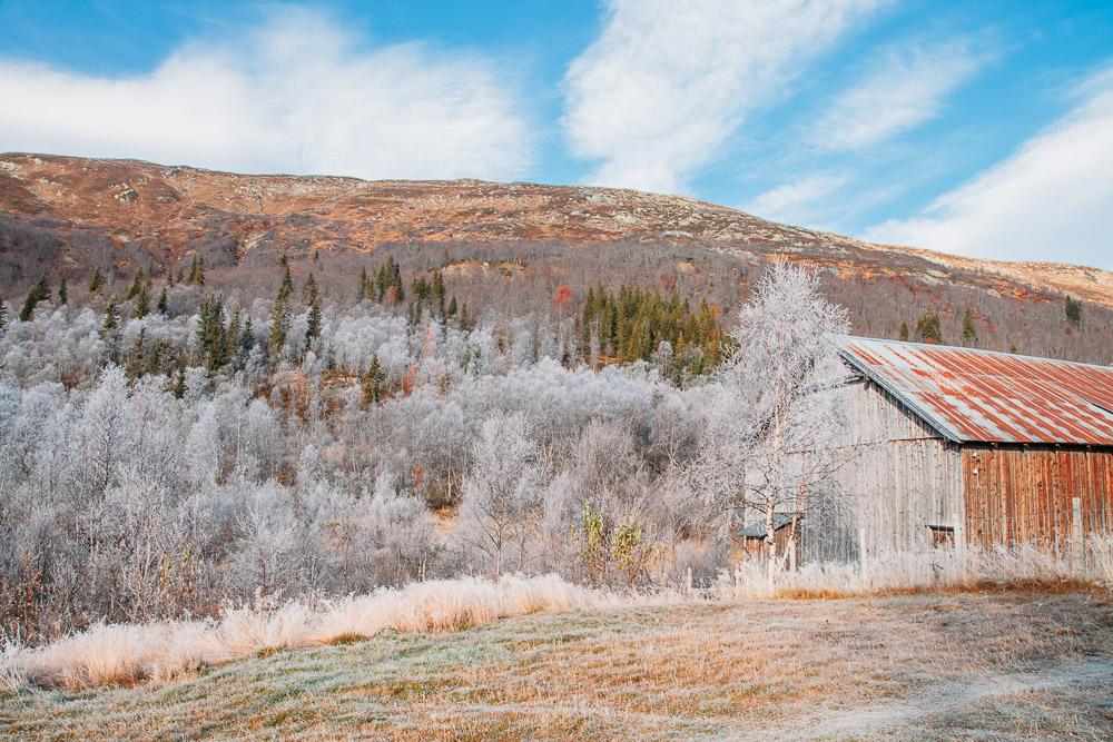 telemark norway in the fall