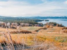 telemark norway in autumn frost colors