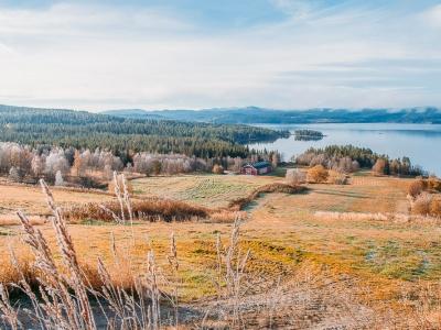 telemark norway in autumn frost colors