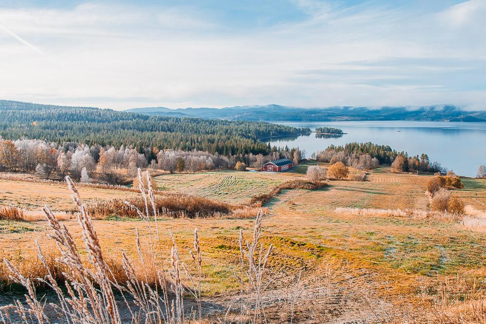 telemark norway in autumn frost colors