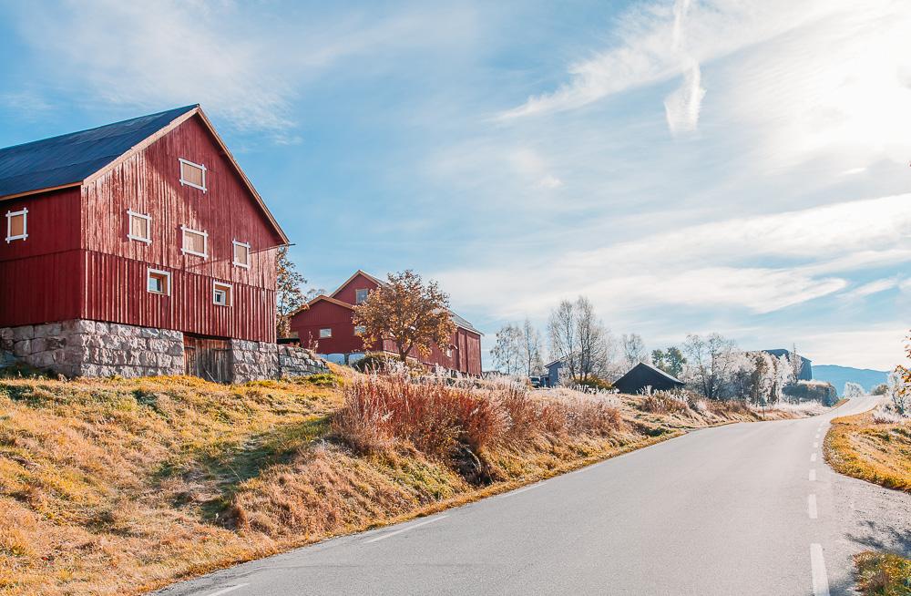 fall colors in norway