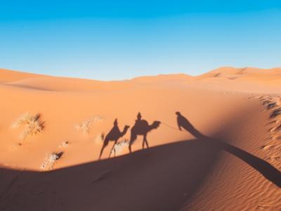sahara independent camel trek tour merzouga morocco