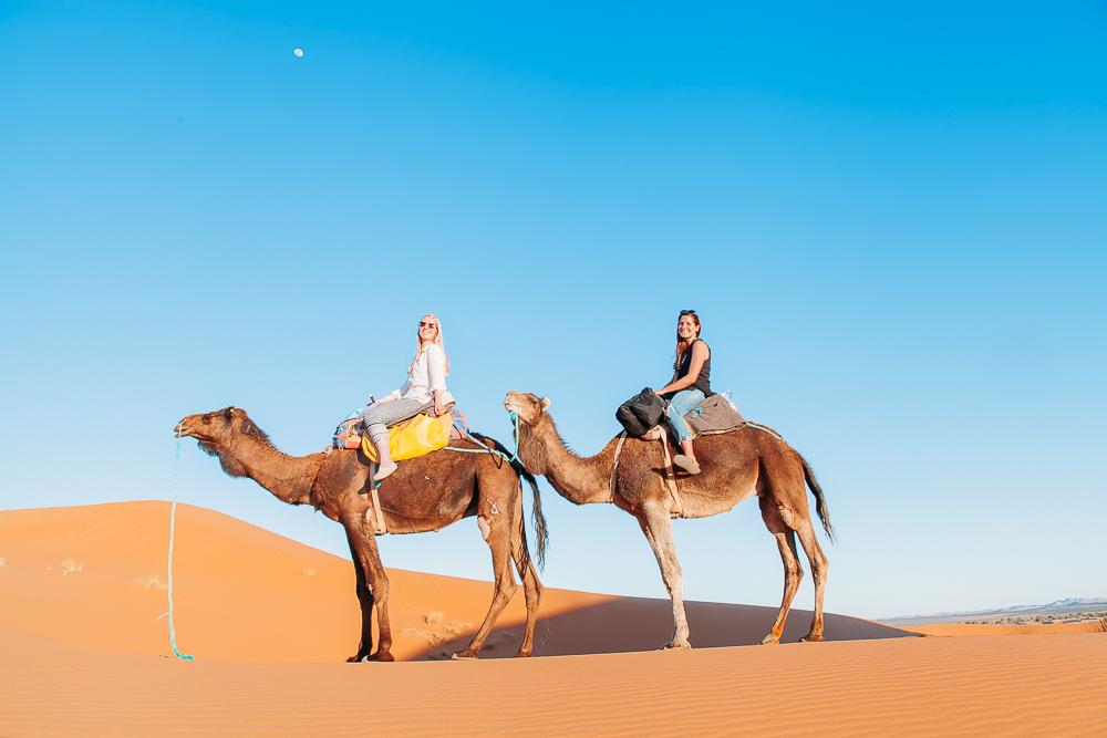 sahara desert camel trek tour merzouga morocco sand dunes