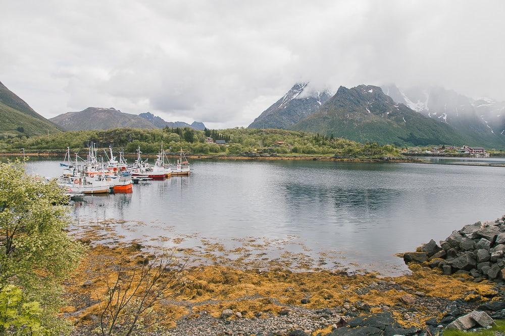 summer on Lofoten in June northern norway