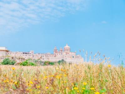 mdina malta