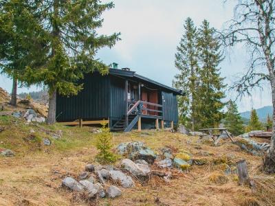 cabin living in norway
