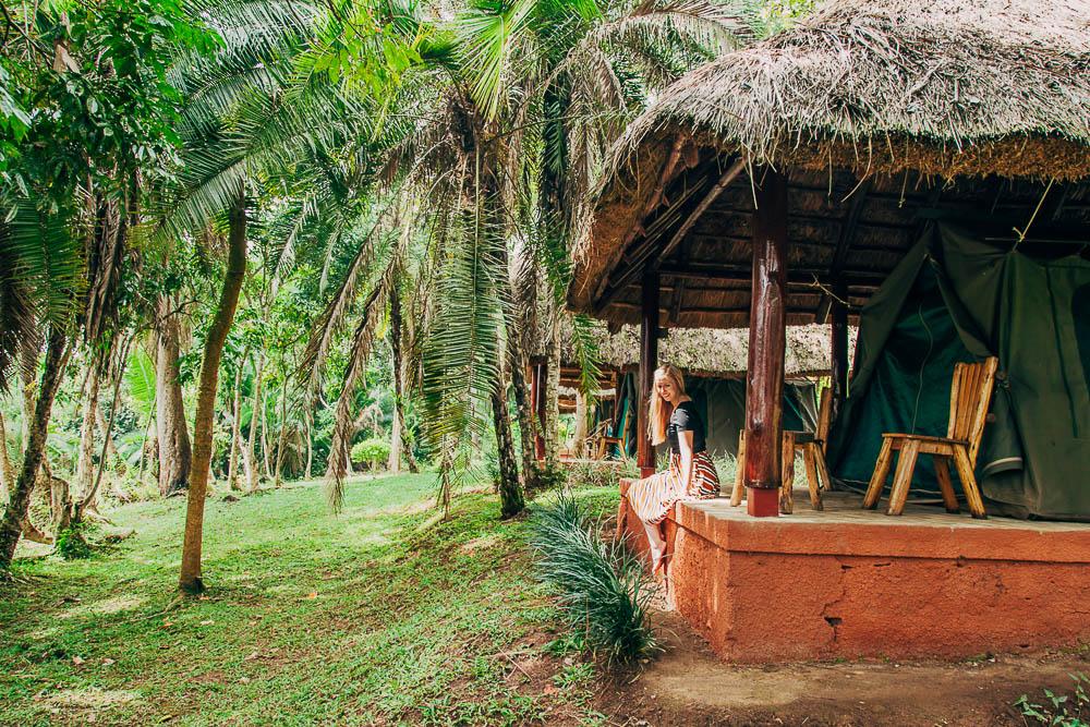 staying at a lodge by Kibale National Park in Uganda