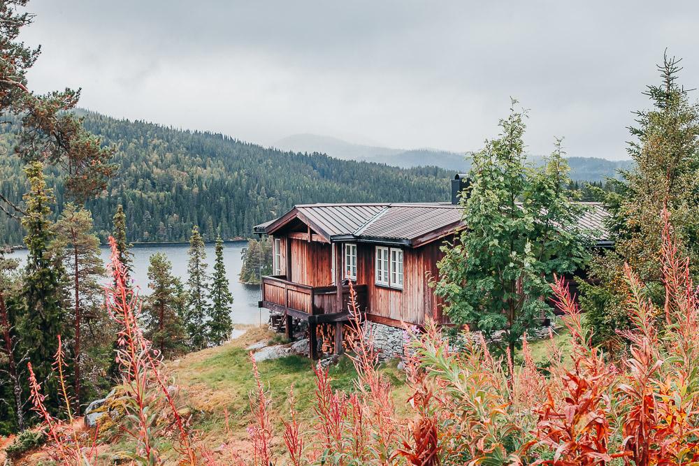 autumn in norway fall colors norwegian mountains