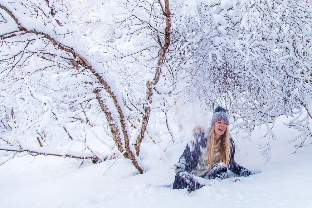 snowy christmas