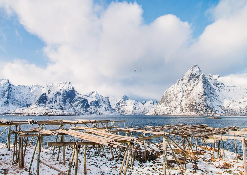 snowy mountains