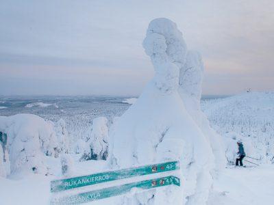 ruka ski resort view snowy trees at sunset