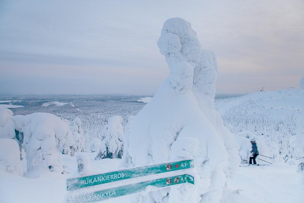 ruka ski resort view snowy trees at sunset