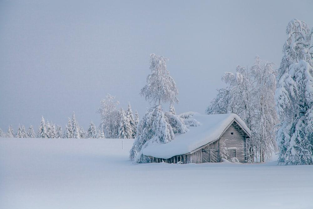 Polosaari reindeer and fishing farm snowy
