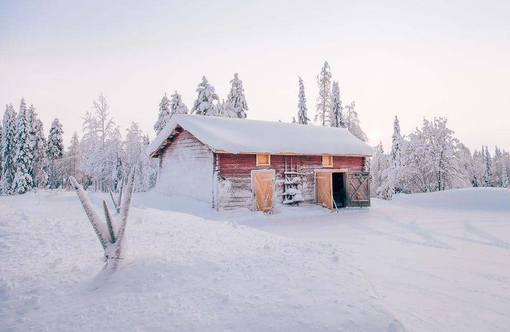 Polosaari reindeer and fishing farm snowy