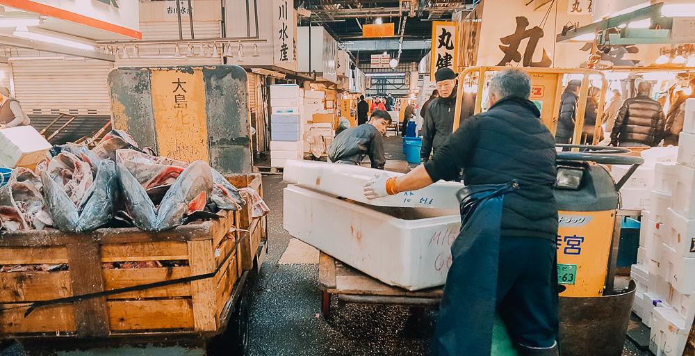 tsukiji fish market tokyo