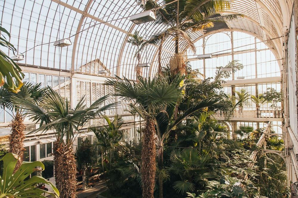 Gothenburg's Palm House