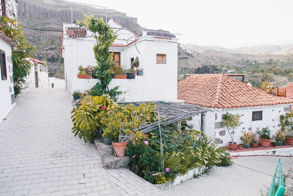 fataga village day trip gran canaria