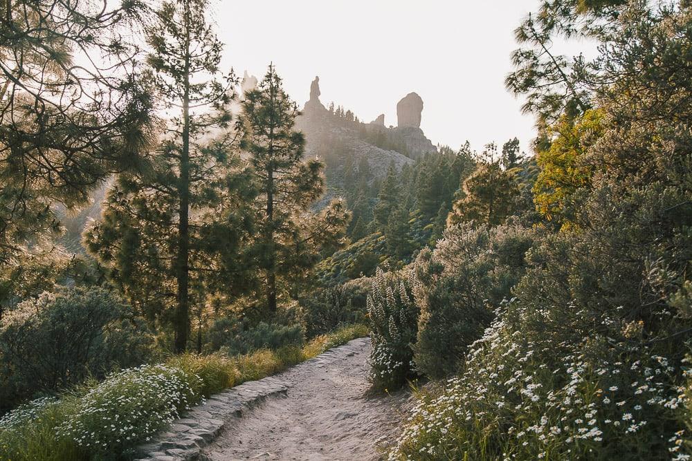 Pico de las Nieves