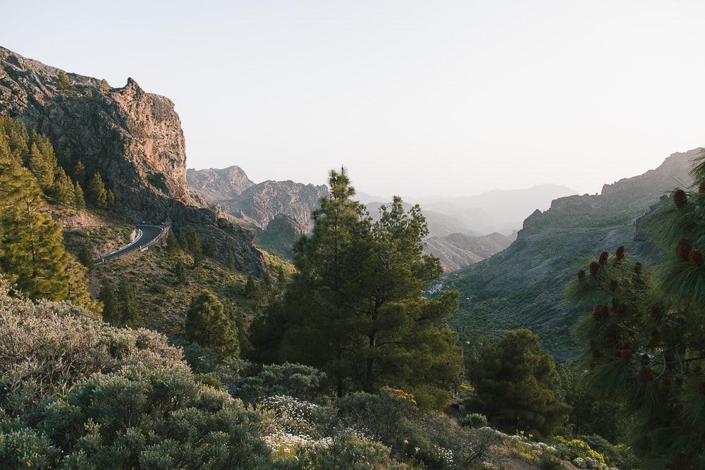 Pico de las Nieves