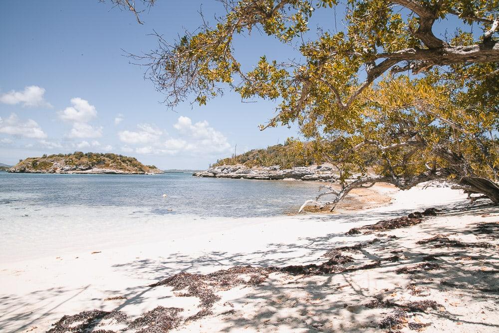 best beaches on antigua barbuda
