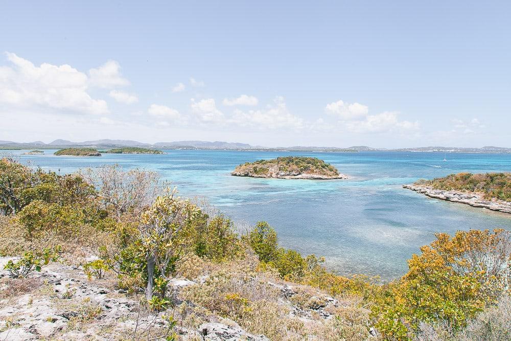 antigua nature tours kayaking great bird island view