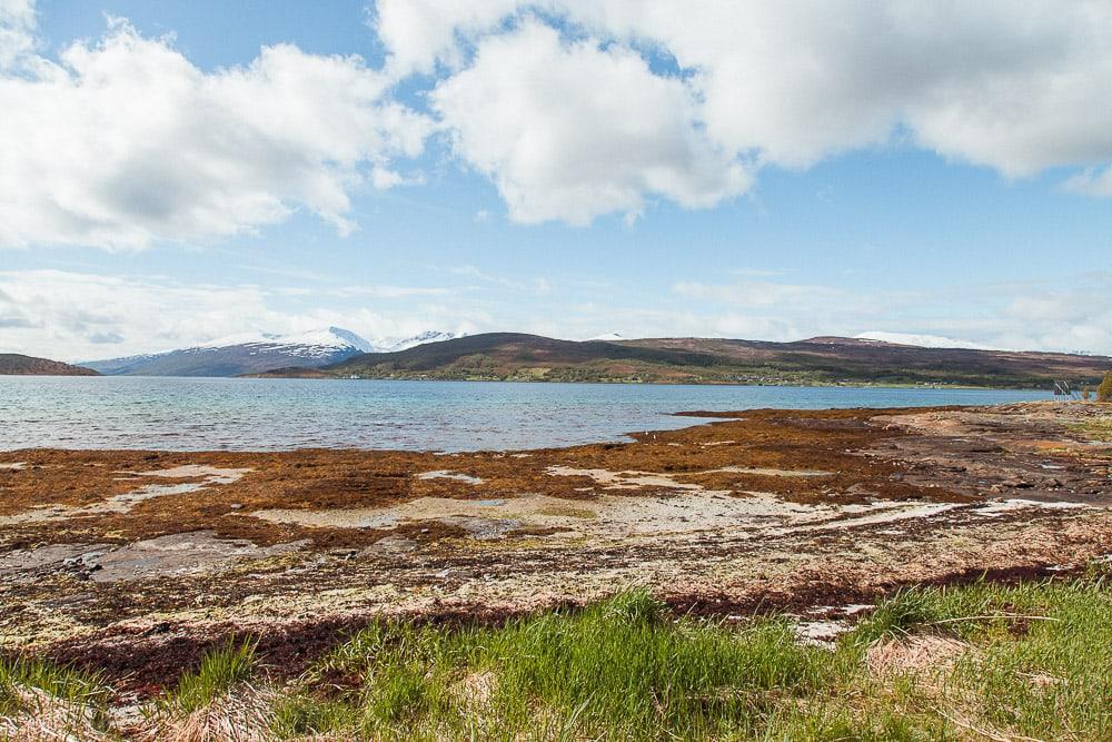 tromso northern norway in summer