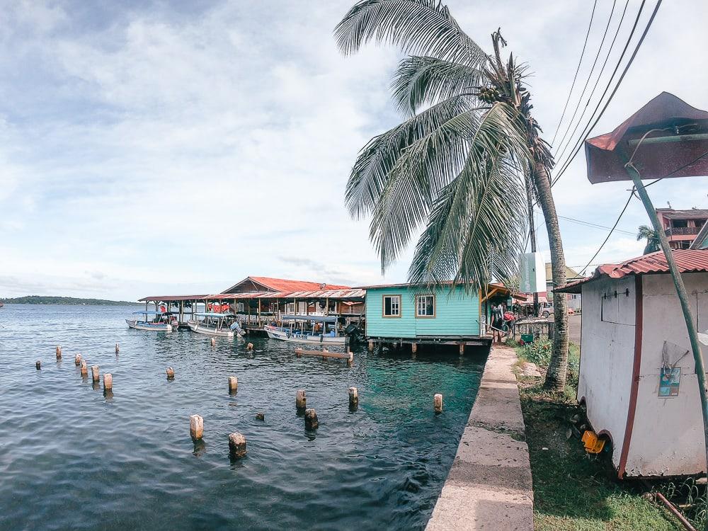 bocas town bocas del toro panama