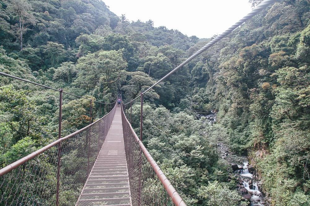 boquete tree trek cloud forest panama