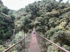 boquete tree trek cloud forest panama