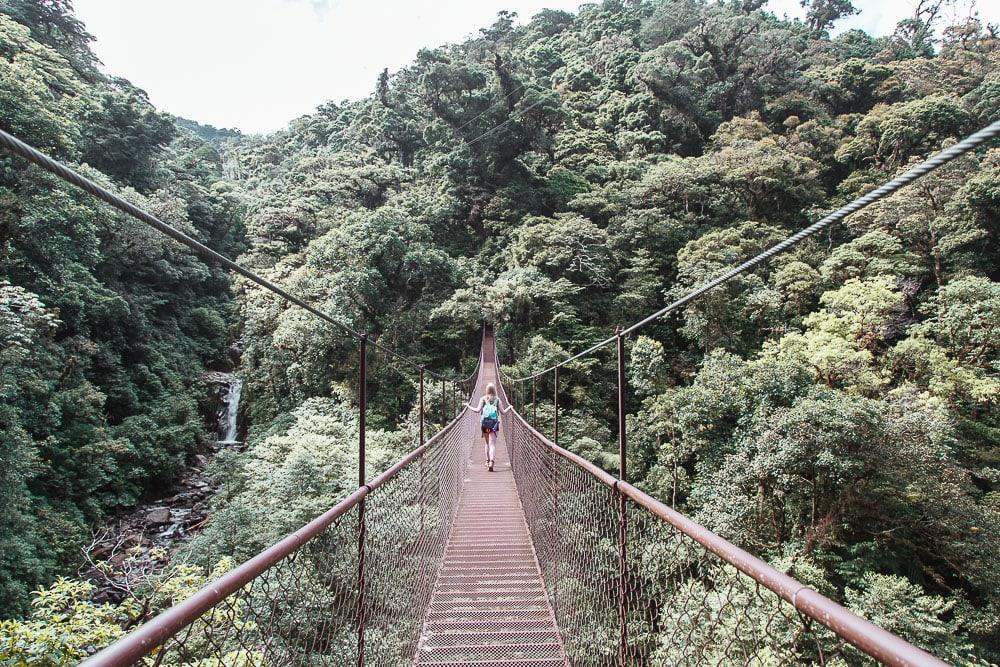 boquete tree trek cloud forest panama