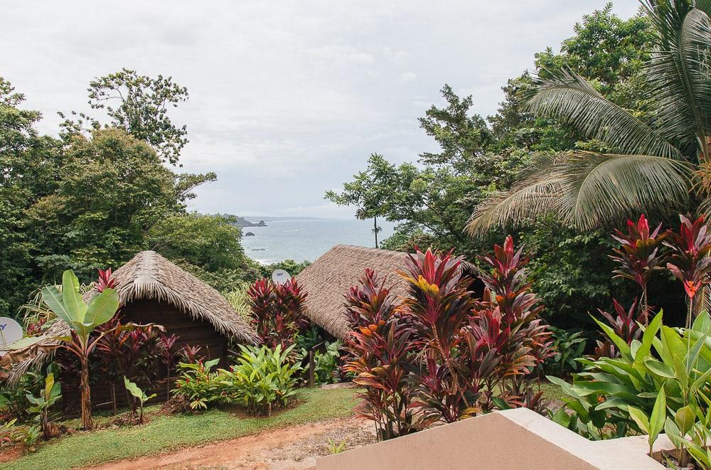 red frog beach resort bocas del toro panama