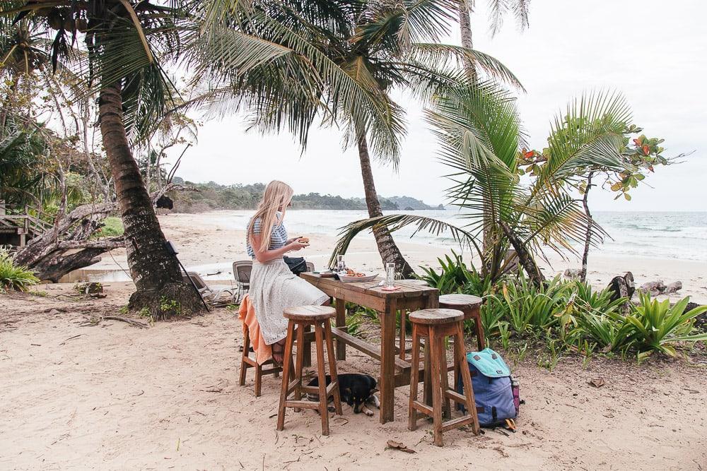 red frog beach resort bocas del toro panama turtle beach