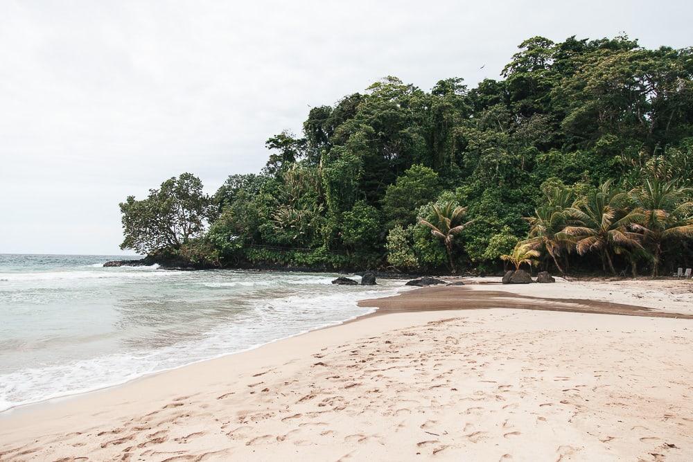 red frog beach resort bocas del toro panama turtle beach