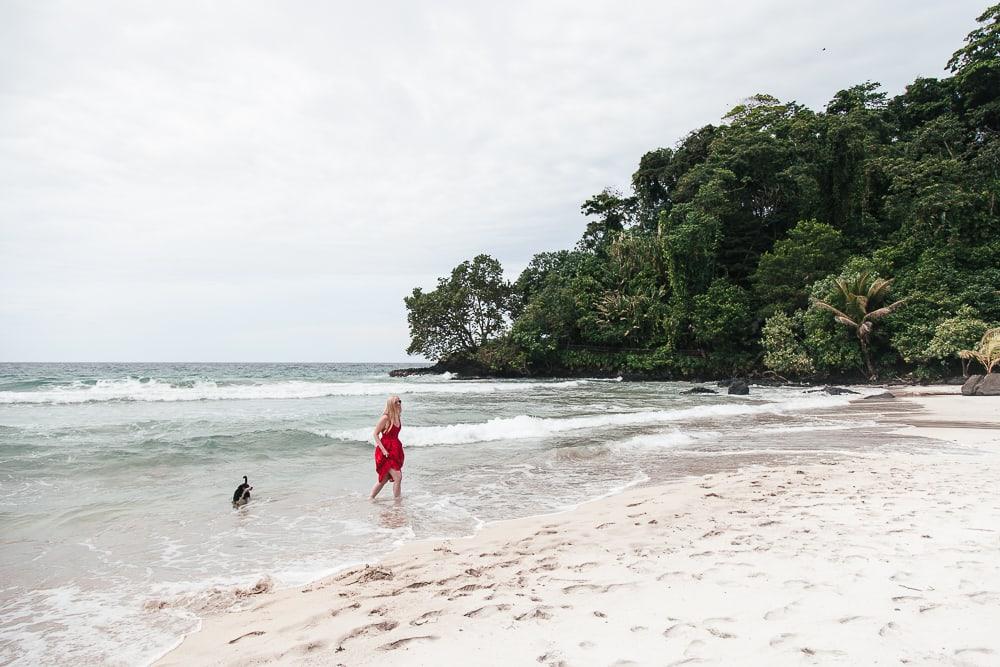 red frog beach resort bocas del toro panama turtle beach