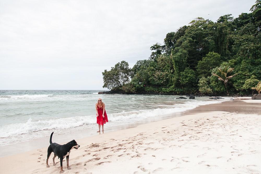 turtle beach red frog bocas del toro panama bastimentos