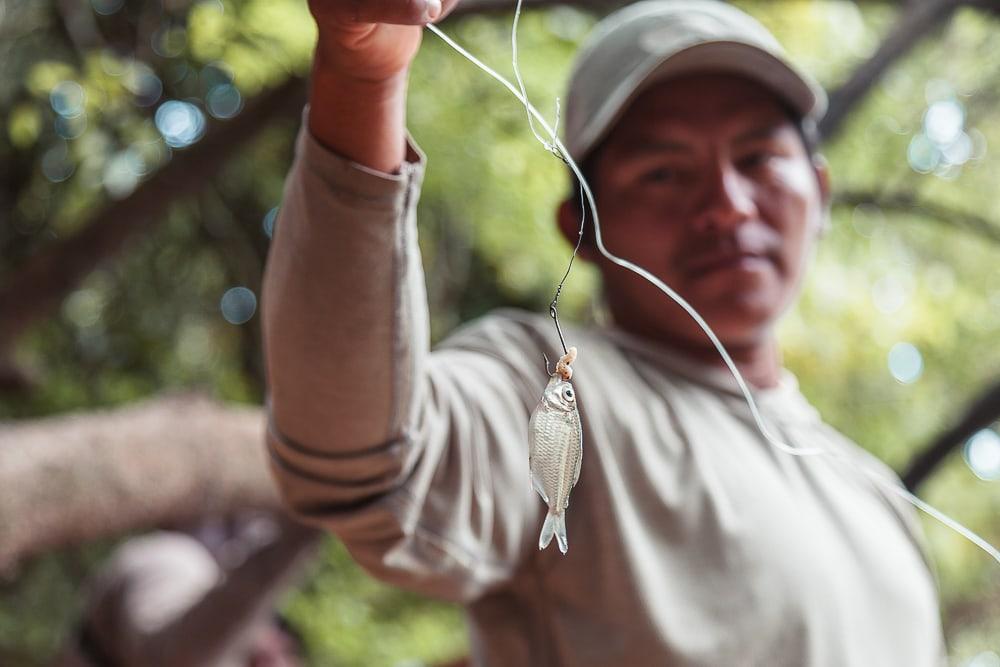 rewa lodge fishing guide