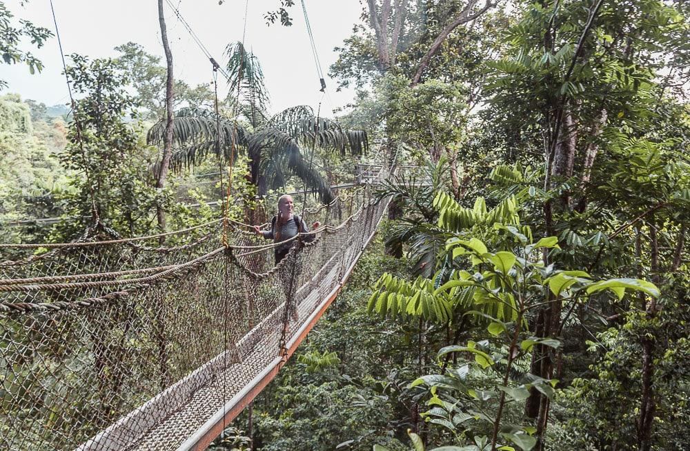 atta lodge canopy walk north rupununi rainforest guyana