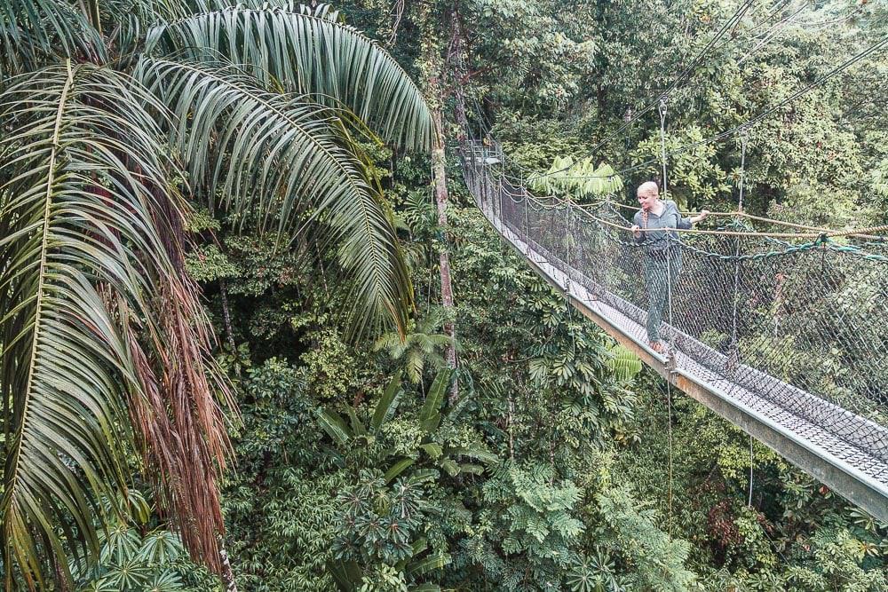 canopy walkway atta lodge guyana rainforest