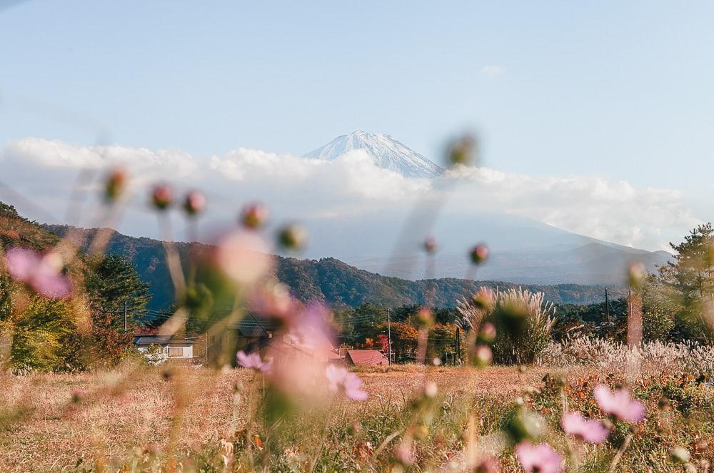 mount fuji view Iyashinosato ancient japanese village