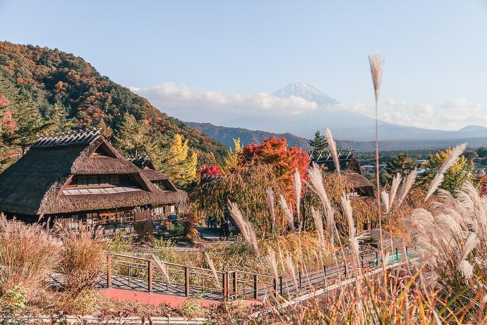 Saiko Iyashino-Sato Nenba ancient village Mt Fuji Japan